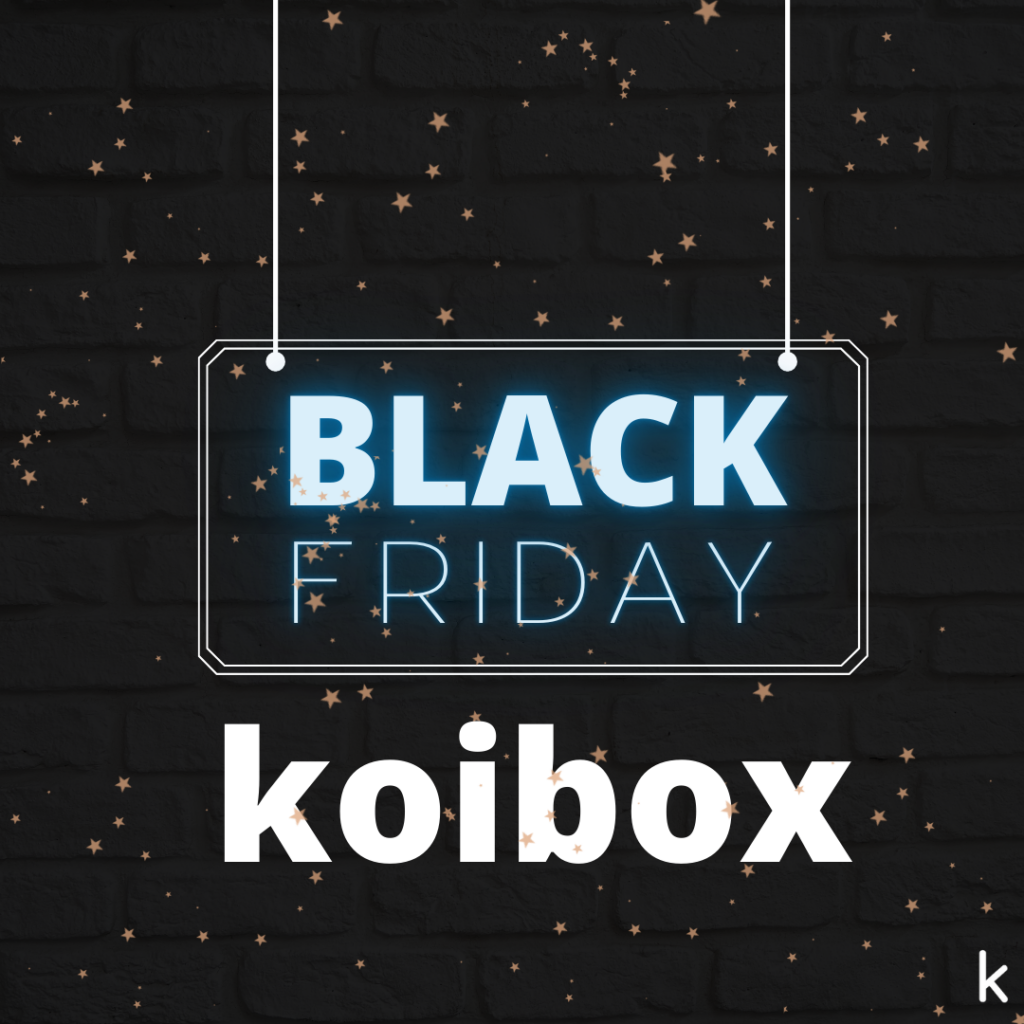 Black Friday Koibox: jornadas abiertas para salones de estética y peluquerías